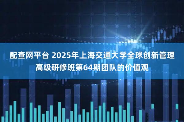 配查网平台 2025年上海交通大学全球创新管理高级研修班第64期团队的价值观