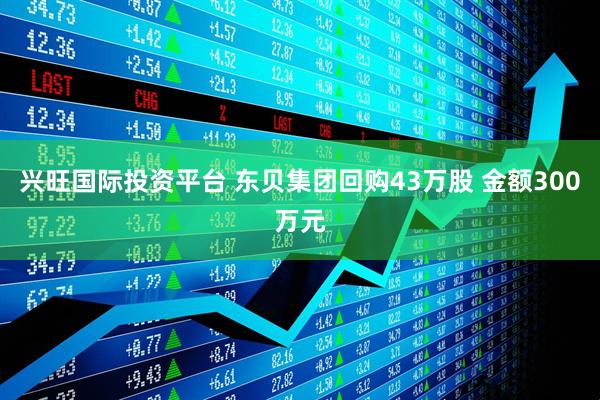 兴旺国际投资平台 东贝集团回购43万股 金额300万元