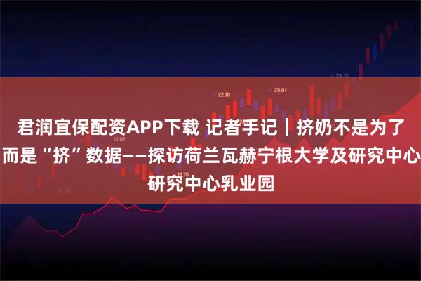 君润宜保配资APP下载 记者手记｜挤奶不是为了牛奶，而是“挤”数据——探访荷兰瓦赫宁根大学及研究中心乳业园
