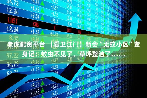 老虎配资平台 【爱卫江门】新会“无蚊小区”变身记：蚊虫不见了，草坪整洁了……