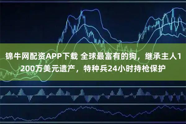 锦牛网配资APP下载 全球最富有的狗，继承主人1200万美元遗产，特种兵24小时持枪保护
