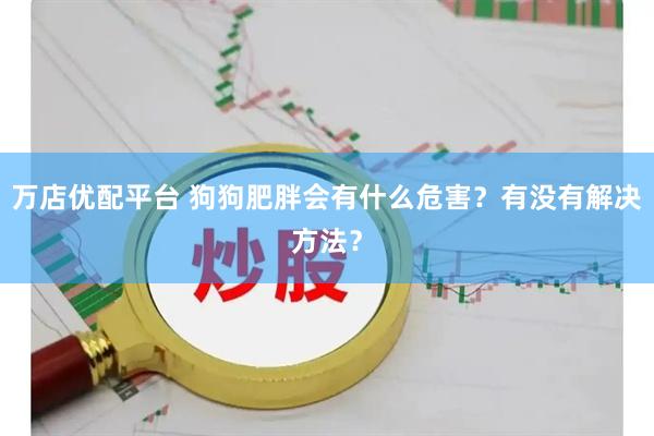 万店优配平台 狗狗肥胖会有什么危害？有没有解决方法？
