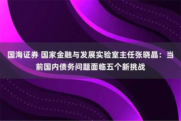 国海证券 国家金融与发展实验室主任张晓晶：当前国内债务问题面临五个新挑战