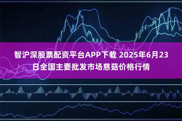 智沪深股票配资平台APP下载 2025年6月23日全国主要批发市场慈菇价格行情