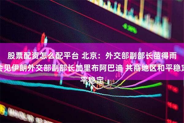 股票配资怎么配平台 北京：外交部副部长苗得雨会见伊朗外交部副部长加里布阿巴迪 共商地区和平稳定