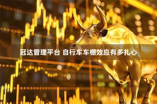 冠达管理平台 自行车车棚效应有多扎心